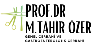 Prof.Dr. M.Tahir Özer